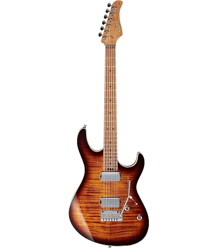 Amazon.com: Cort G250 SE 6-String Solid-Body Electric Guitar Black :  Musical Instruments