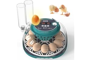 SENTYE 12 Egg Incubator with Automatic Egg Turning and Humidity Control, Egg Incubators for Hatching Eggs, Incubator for Chicken Eggs, Quail Eggs