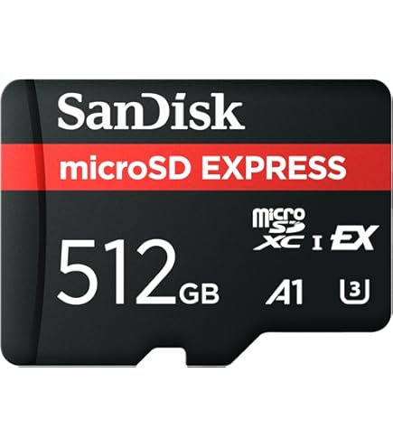 Amazon.com: SANDISK 512GB Pokmon Gengar microSDXC Card Licensed for  Nintendo-Switch - Made for Nintendo-Switch 1, OLED, and Lite -  SDSQXAO-512G-GN6ZK