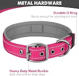 Joytale Reflective Dog Collar Medium Neoprene Padded Heavy Buckle Hotpink view 3