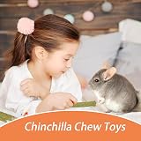 lisetar 21-Pack Rabbit Toys Set Natural Chew Toys for Small Animals view 3