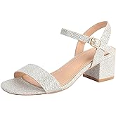 DADAWEN Women's Open Toe Ankle Strap Glitter Low Block Chunky Heels Sandals Dress Pumps Shoes