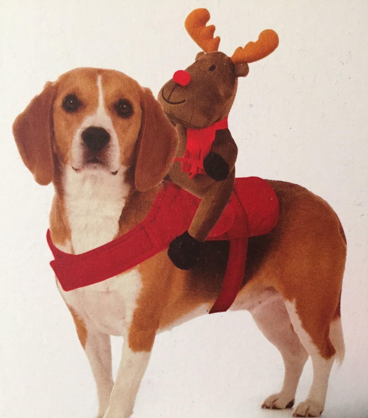 Mypets Christmas Xmas Dog Reindeer Harness Novelty Pet Outfit For Dogs