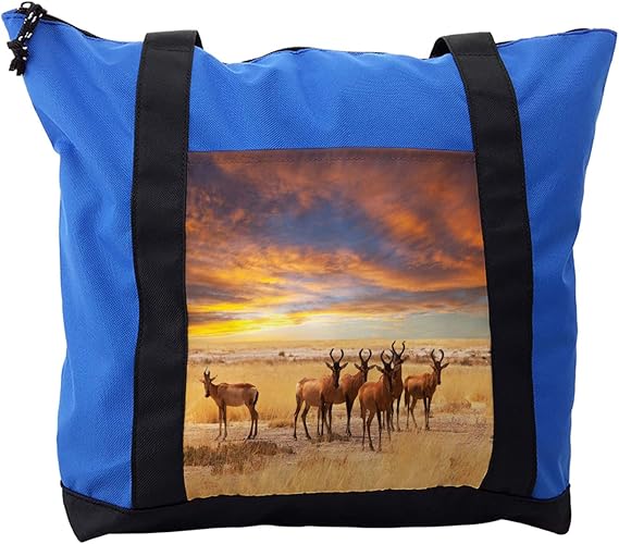 safari bags store near me