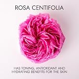 Alteya Organic Centifolia Rose Water Spray 100ml USDA Certified Organic view 2