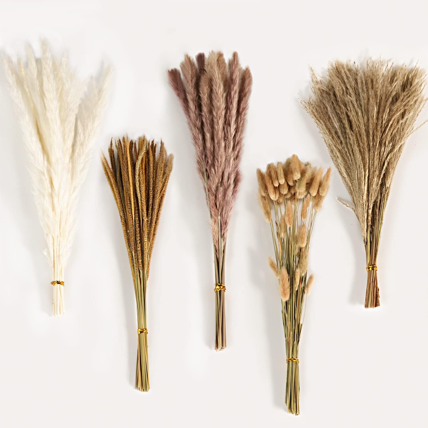 Dried & Preserved Flora - Dried Pampas Grass Decor, 120Pcs Boho Home Wedding Party Decor Dried Flowers Arrangements White & Natural Pampas Grass, Reed, Bunny Tails