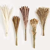 Dried Pampas Grass Decor, 120Pcs Boho Home Wedding Party Decor Dried Flowers Arrangements White & Natural Pampas Grass, Reed,