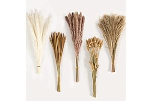 PUTHIAC Dried Pampas Grass Decor, 120Pcs Boho Home Wedding Party Decor Dried Flowers Arrangements White & Natural Pampas Grass, Reed, Bunny Tails