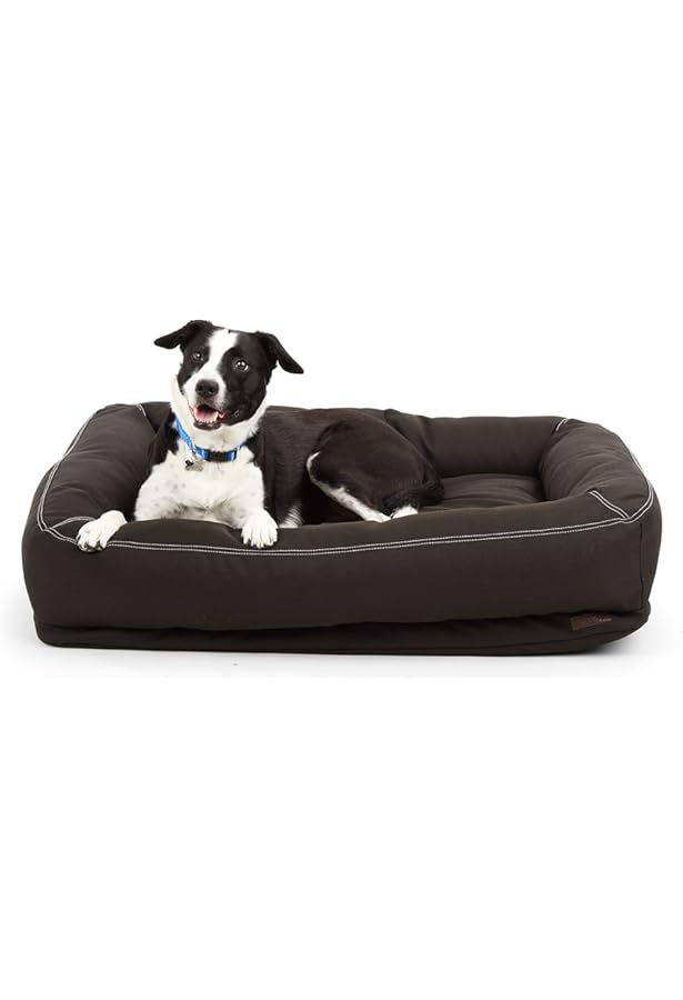 petsmart dollar per gallon sale