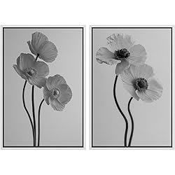 MUDECOR Framed Canvas Print Wall Art Set Monochrome