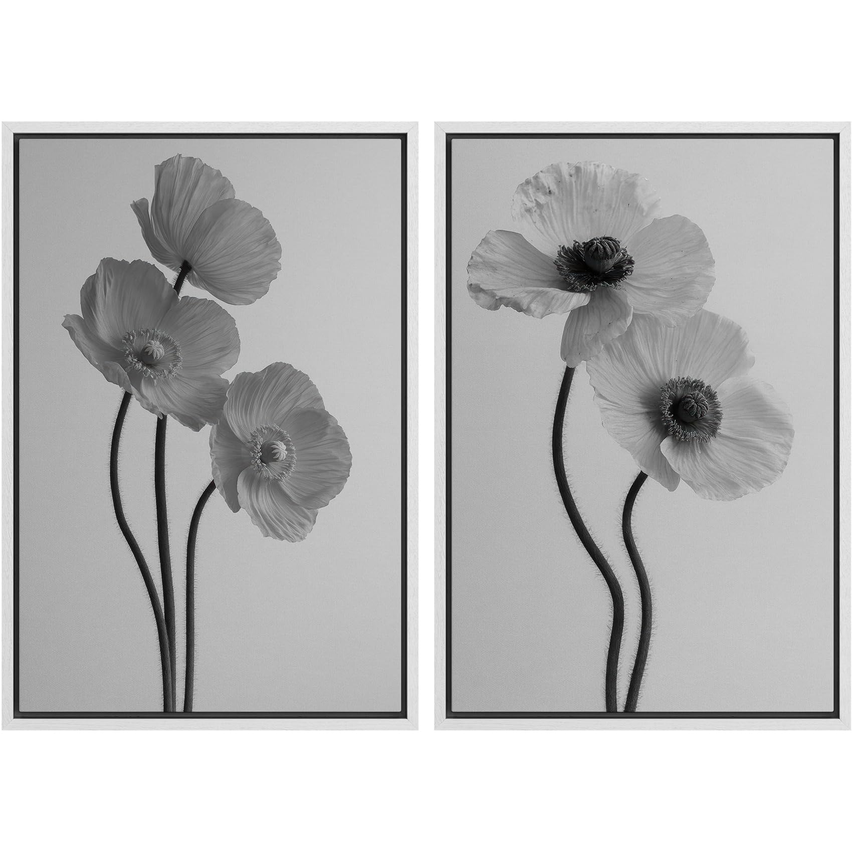MUDECOR Framed Canvas Print Wall Art Set Monochrome