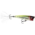 Yo-Zuri 3DB Popper Floating Lure