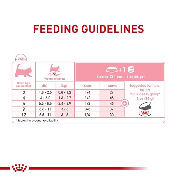 ROYAL CANIN FELINE HEALTH NUTRITION KITTEN THIN SLICES IN GRAVY CAT FOOD, 3 OZ (PACK OF 24)