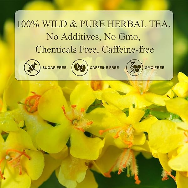 MULLEIN LEAF TEA BAGS | 20 TEABAGS (3G/BAG) FOR LUNG HEALTH | NON-GMO & CAFFEINE-FREE | NATURAL HERBAL TEA FOR DETOX & RESPIRATORY SUPPORT (1BOX)