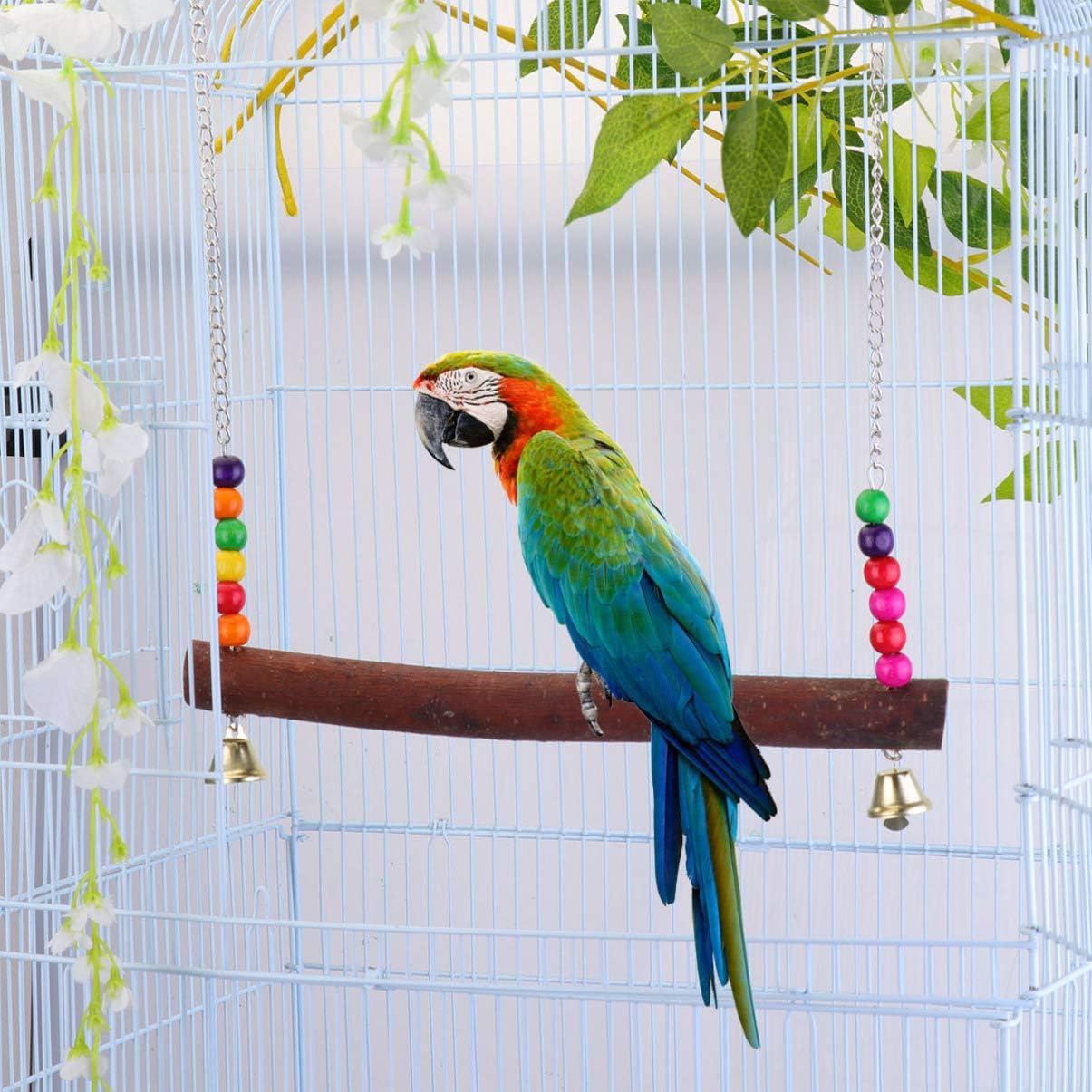 large macaw swings