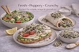 Nature’s Root Organic Radish Mix 250g Microgreen Sprouting Seeds view 3