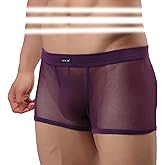 Evankin Men's Underwear Sexy Mesh Breathable Boxer Briefs Low Rise Cool Valentines Boxers Pack Set