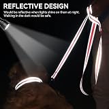 Joytale Padded Handle Dog Lead Double-Sided Reflective Nylon 1.2m Neon Pink view 4