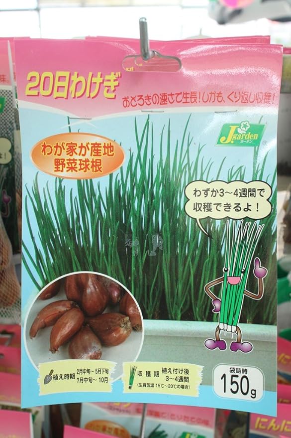 Amazon 秋植え野菜球根 日わけぎ150g 3袋 送料込 球根 Amazon 秋植え野菜球根 日わけぎ150g 3袋 送料込 球根
