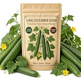 NYGardenia 60 Long Cucumber Seeds for Planting, Green Climbing Vegetable, Home Garden