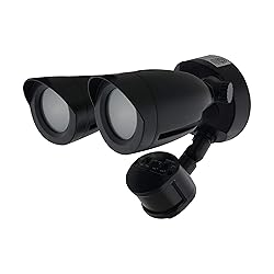 Satco 65/715 Dual Bullet-Head Security Flood
