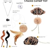 Aidiyapet Door Hanging Cat Toy Catnip Interactive Self-Play Grey view 6