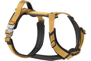 PAWS PASSION PawsPassion Dog Harness for Medium Dogs, No Pull Dog Harness Easy Walk with Metal Hardware, Ergonomic Y-Shaped Design, Soft Padding, Padded Handle, Durable High-Tensile Nylon (Sunrise, M)