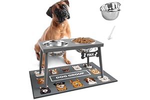 ADENGL Raised Dog Bowl Stand for Large Dogs, 10” Tall Elevated Feeder with Spill-Proof Mat, Stainless Steel 58OZ Bowls for Food & Water, Gray Color (Mat Size: 16x24”)