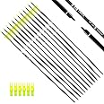 TIGER ARCHERY 30Inch Carbon Arrow Practice Hunting Arrows with Removable Tips for Compound & Recurve Bow(Pack of 12)