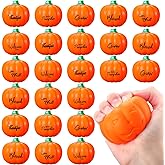 Seenelling 24 Pcs Thanksgiving Stress Balls Pumpkin Toys Bulk 2.48 Inch Fall Pumpkin Stress Relief Balls PU Foam Mini Pumpkins Squeeze Ball Fidget for Autumn Harvest Party Favors(Orange)