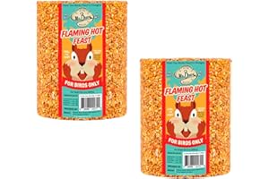 2-Pack of Mr. Bird Flaming Hot Feast Large Wild Bird Seed Cylinder 4 lbs. 3 oz.