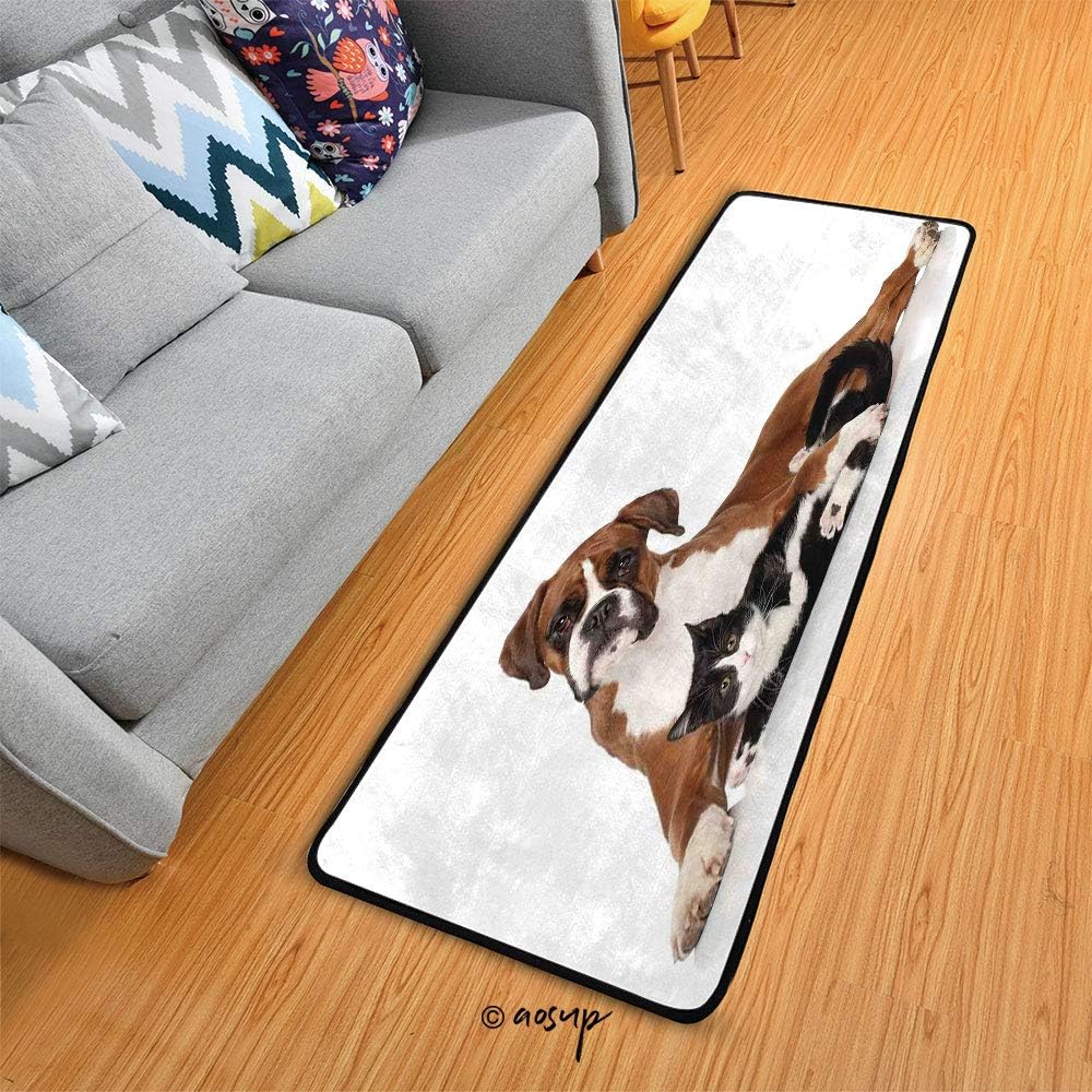 Homenon Runner Area Rug Cat and Dog Together Lying on The Floor Cute Couple Real Friendship Kitty Portra Non Slip Floor Mat for Hallway Entryway Living Room Bedroom Dorm Home Decor 72x24 inches