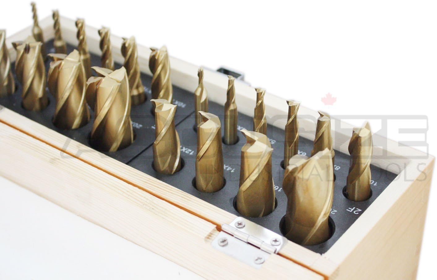 Accusize - Metric Size 20 Pcs HSS Tin Coated End Mills Set, 2 + 4 Flute Fully Ground, #1810-0104