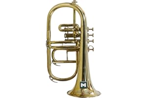 INDIAN MUSICAL INSTRUMENT Flugel Horn 4 Valve, BB Pitch, Premium Quality Including Mouthpiece & Carrying Case, Gloves (Gold)