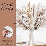 Shakeel Natural Dried Pampas Grass 65Pcs Fluffy Bouquet UK Brand view 6