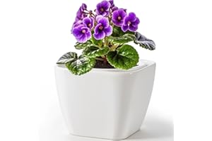 LITUDISO African Violet Pots, 6 Inch Self Watering Pot for Indoor Plants,Ceramic Self Watering Pots,Easy Plant Self Watering Planter for Busy Plant Lovers, Flower Pot with Absorbent Inner Pot - White