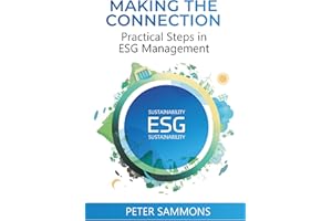 Making the Connection: Practical Steps in ESG Management