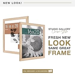 MCS Studio Gallery Classic 16x20 Poster Frame