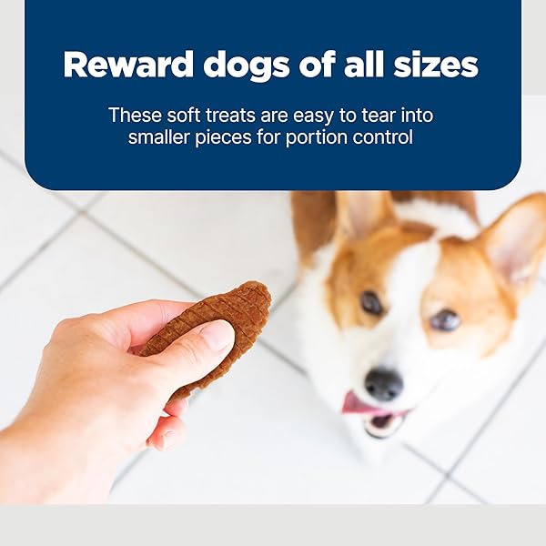 BLUE BUFFALO NUDGES JERKY CUTS NATURAL DOG TREATS CHICKEN