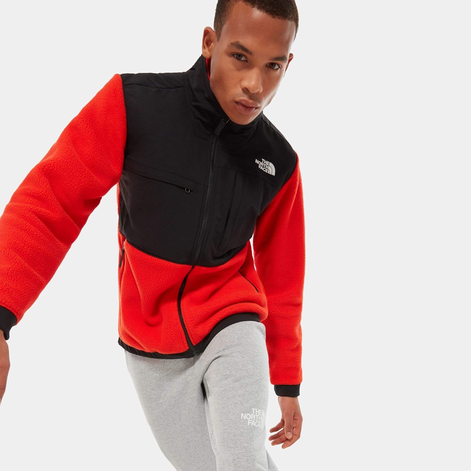 polaire the north face denali