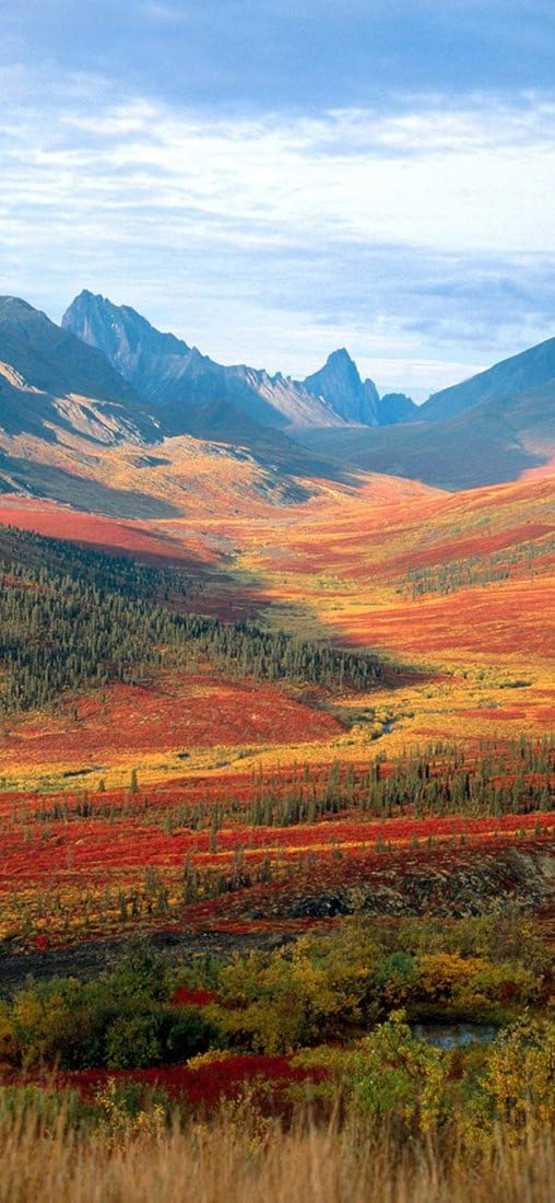 PeelitStickit ID-0196 60 Width x 130 cm Height Beautiful Nature Vinyl Wall Mural, Multi-colour