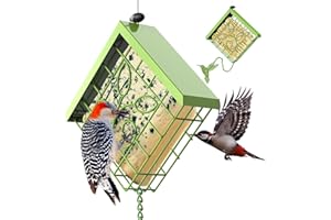 FlowaFoli Suet Bird Feeder for Outside, Metal Suet Feeder for Outside Hanging, Single Suet Cake Capacity, Fruit and Suet Feeder Style for Outside Hanging(Green)