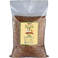 10lbs Bulk Non-GMO Dried Mealworms for Reptile , Tortoise ; Amphibian ,Lizard ;Wild Birds; Chichens; Duck etc