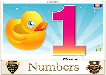 Topper : Kiddies Flash Cards - Numbers
