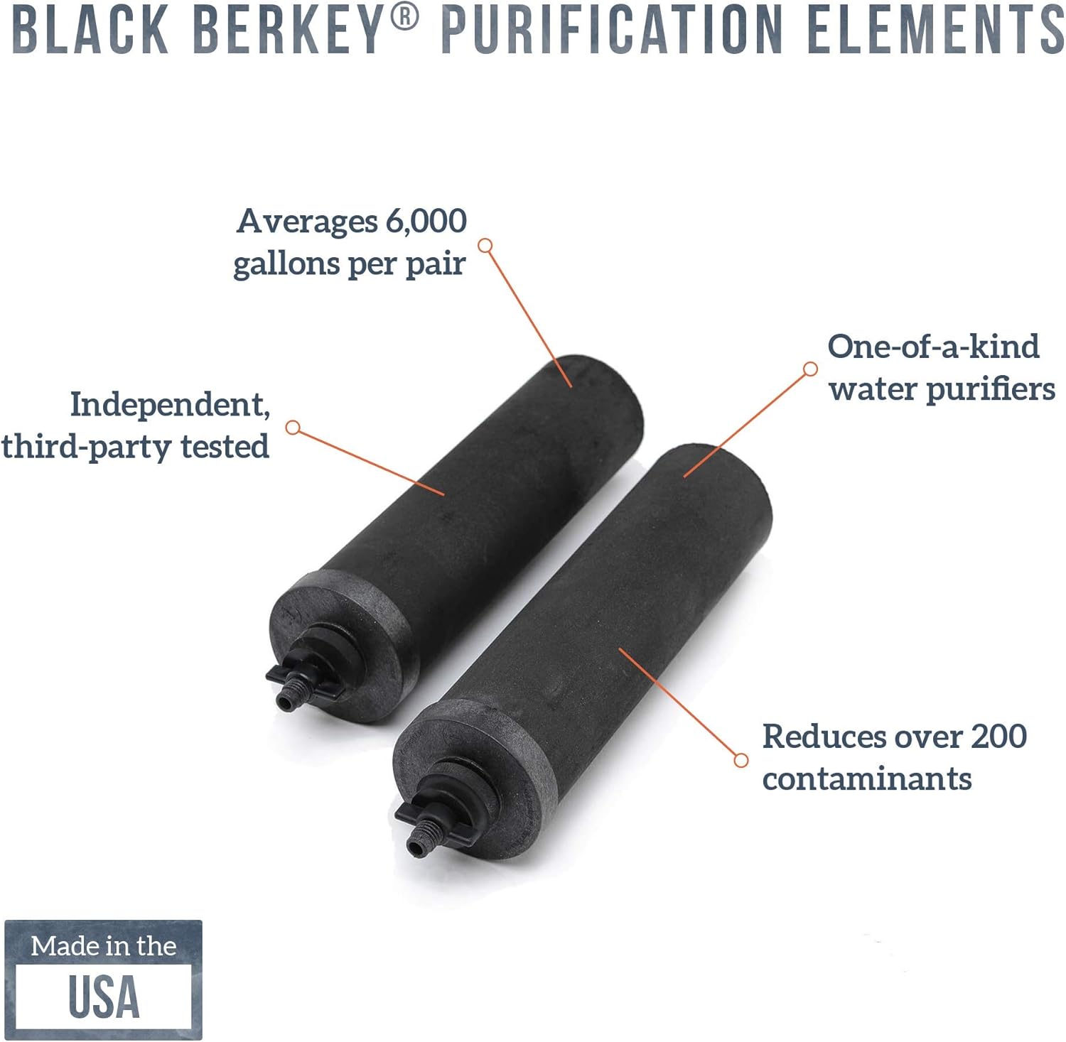 Berkey Authentic Black Purification Elements - Berkey Water Purifier Replacement Filters (Pack of 2): Home Improvement