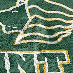 LOGOVISION Saint Leo University