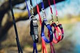 Julius-K9 Color & Gray Super-Grip Leash with Handle 20 mm x 2 m Black Gray view 2