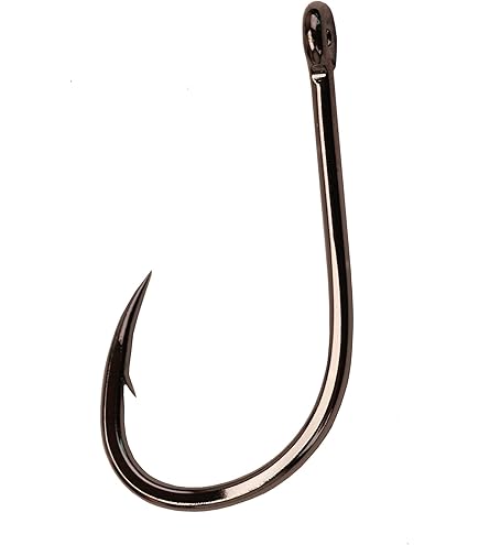 Gamakatsu 98420 Octopus Hooks Black 5-Pack 10/0 : Fishing Hooks : Sports & Outdoors
