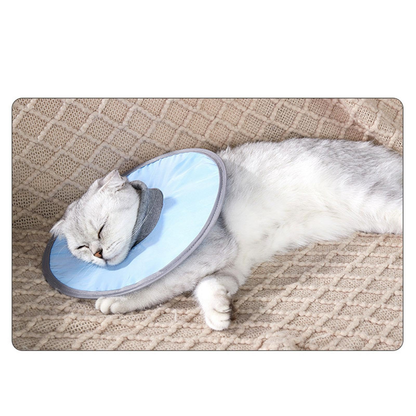 Hahhhha Waterproof Cat Recovery Collar, Lightweight Adjustable Pet Cone Collar, Elizabeth Collar, Suitable For Dogs And Cats After Surgery To Prevent Licking Wounds