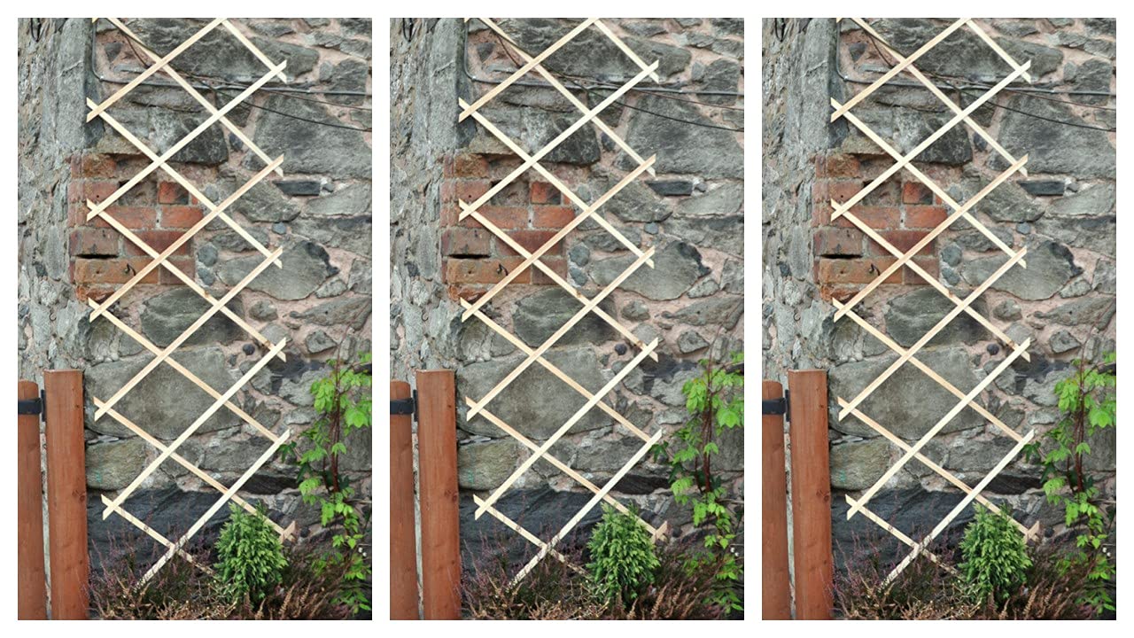 Buy Garden Mile Set of 3 Expanding 6FT X 2FT Wooden Garden Trellis